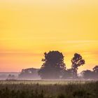 Sonnenaufgang in der Heide