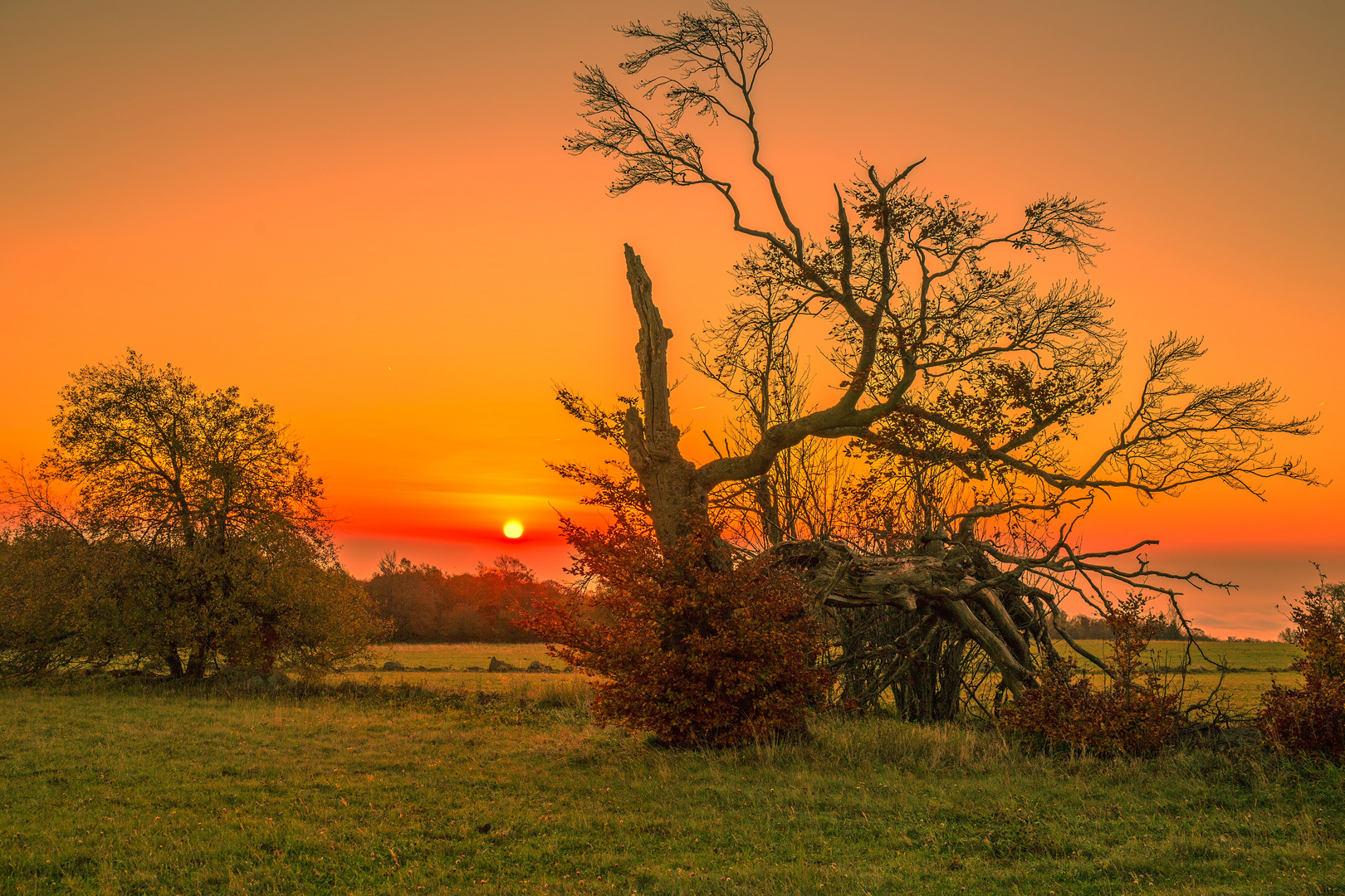 Sonnenaufgang in der Hochrhön