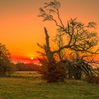 Sonnenaufgang in der Hochrhön