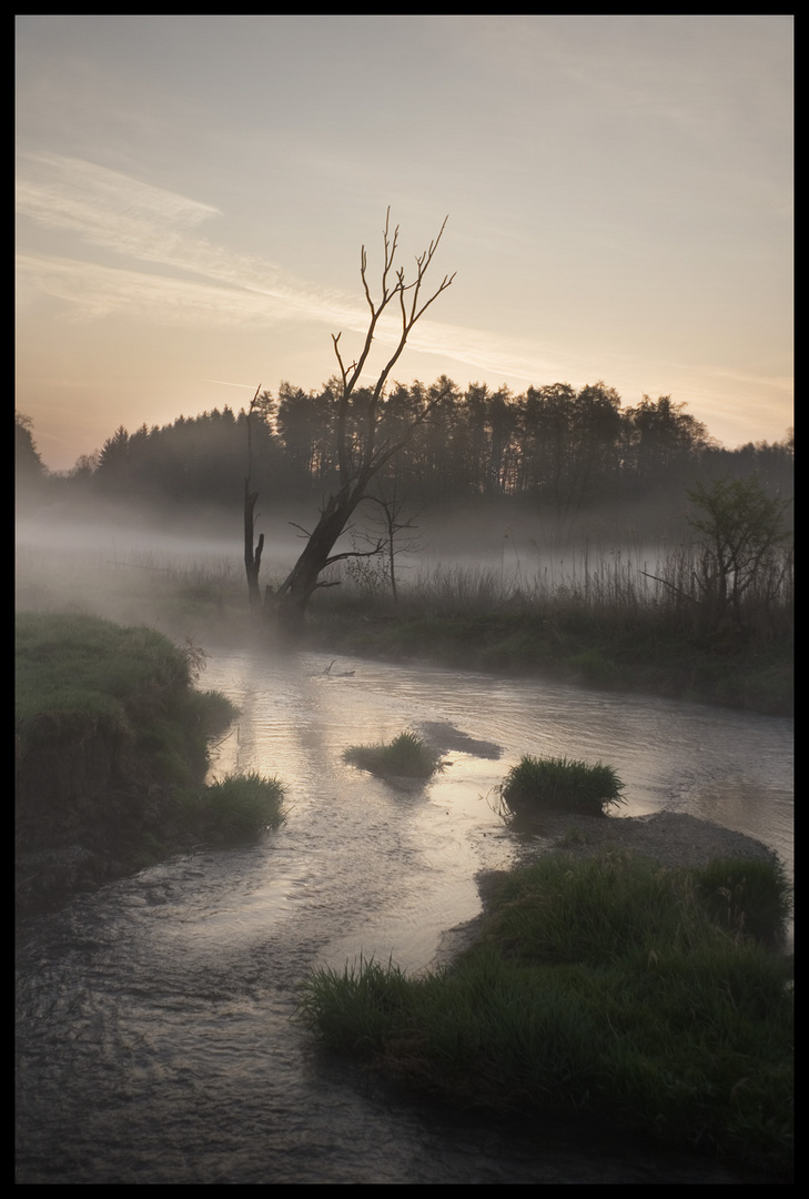 Sonnenaufgang in der Holledau