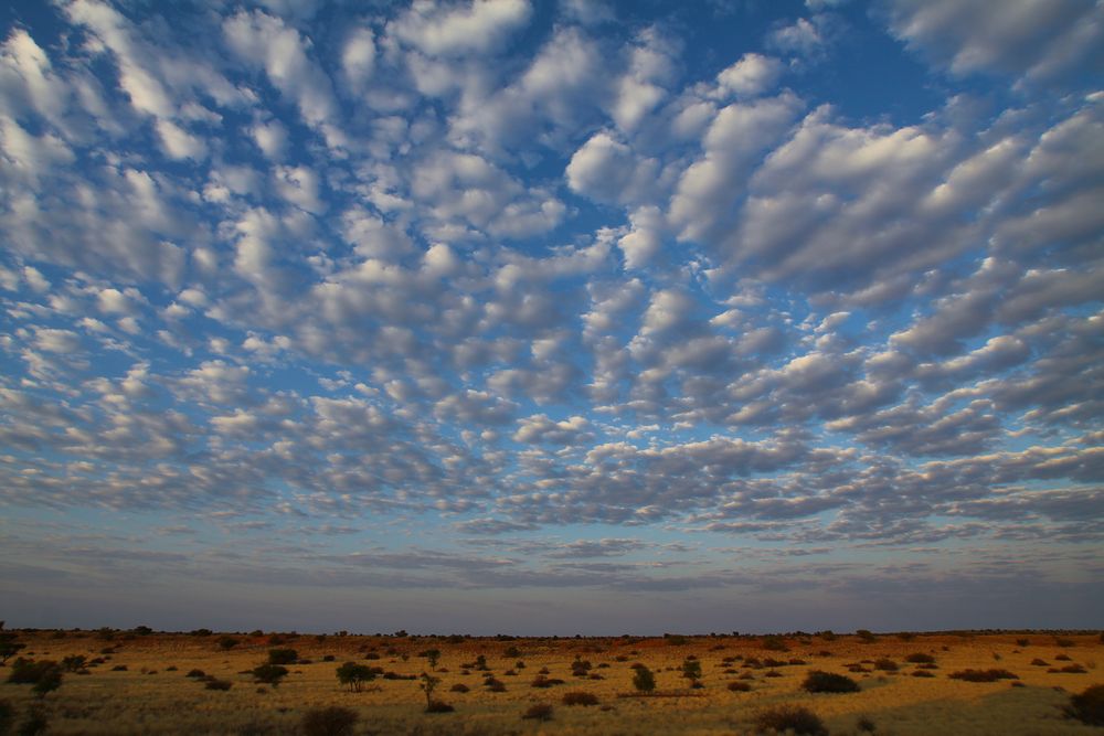 Sonnenaufgang in der Kalahari