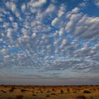 Sonnenaufgang in der Kalahari