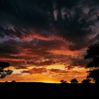 Sonnenaufgang in der Kalahari