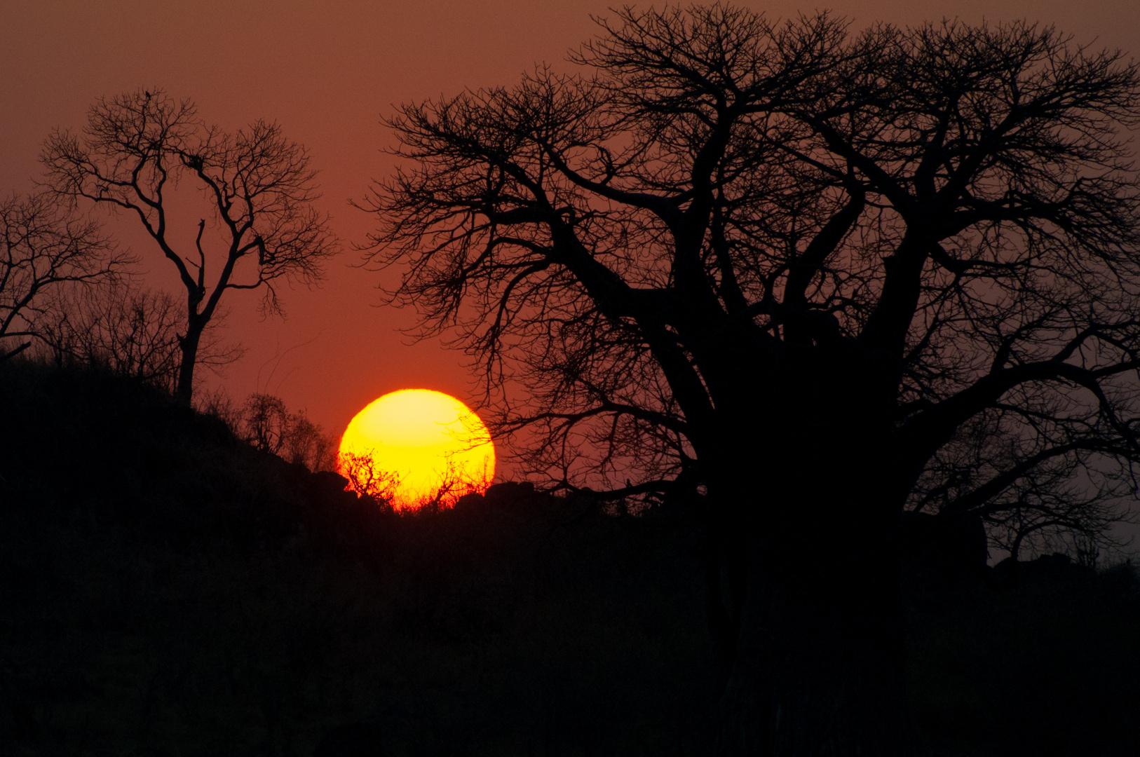 Sonnenaufgang in der Kalahari