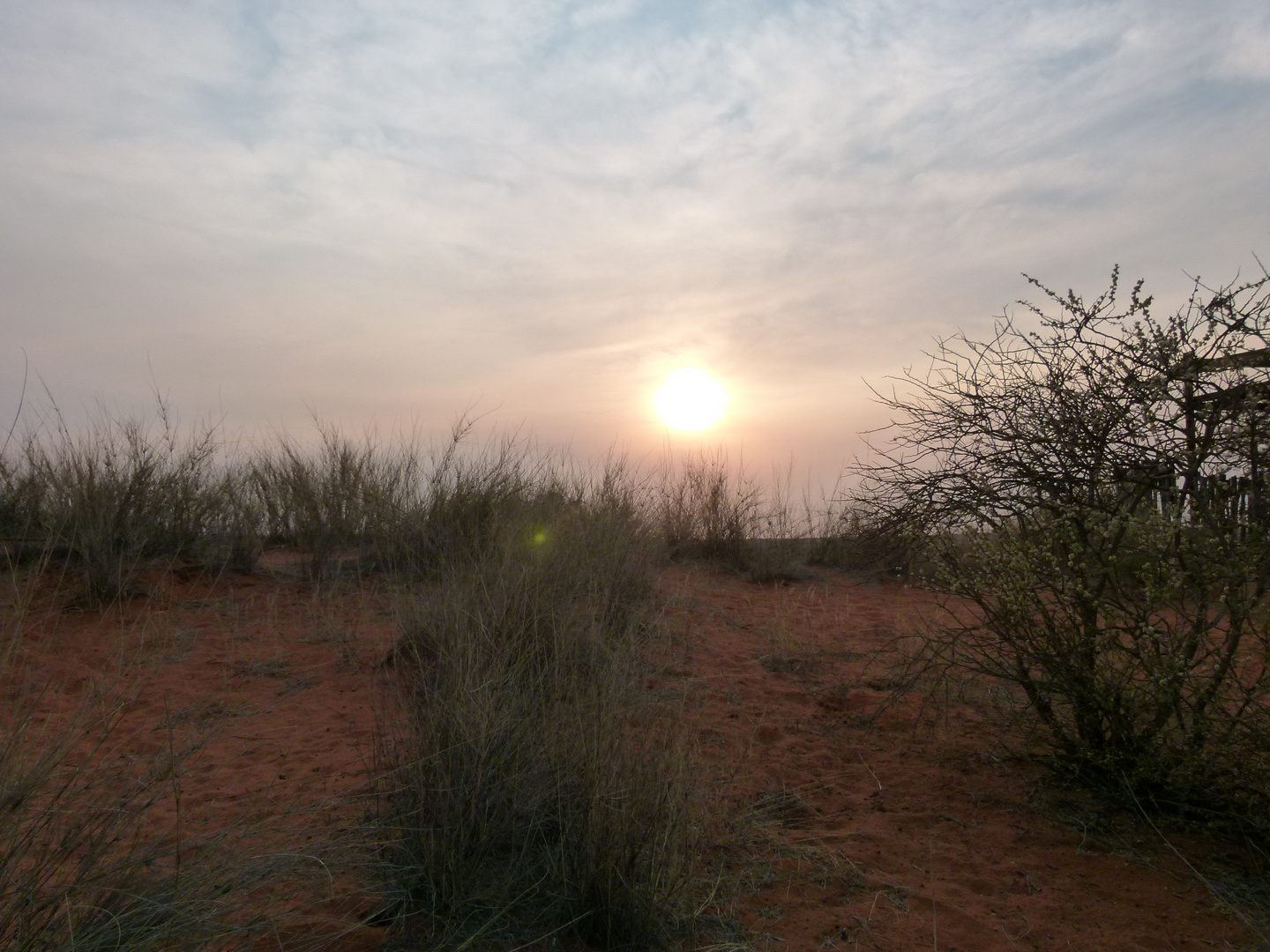 Sonnenaufgang in der Kalahari
