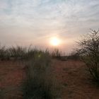 Sonnenaufgang in der Kalahari