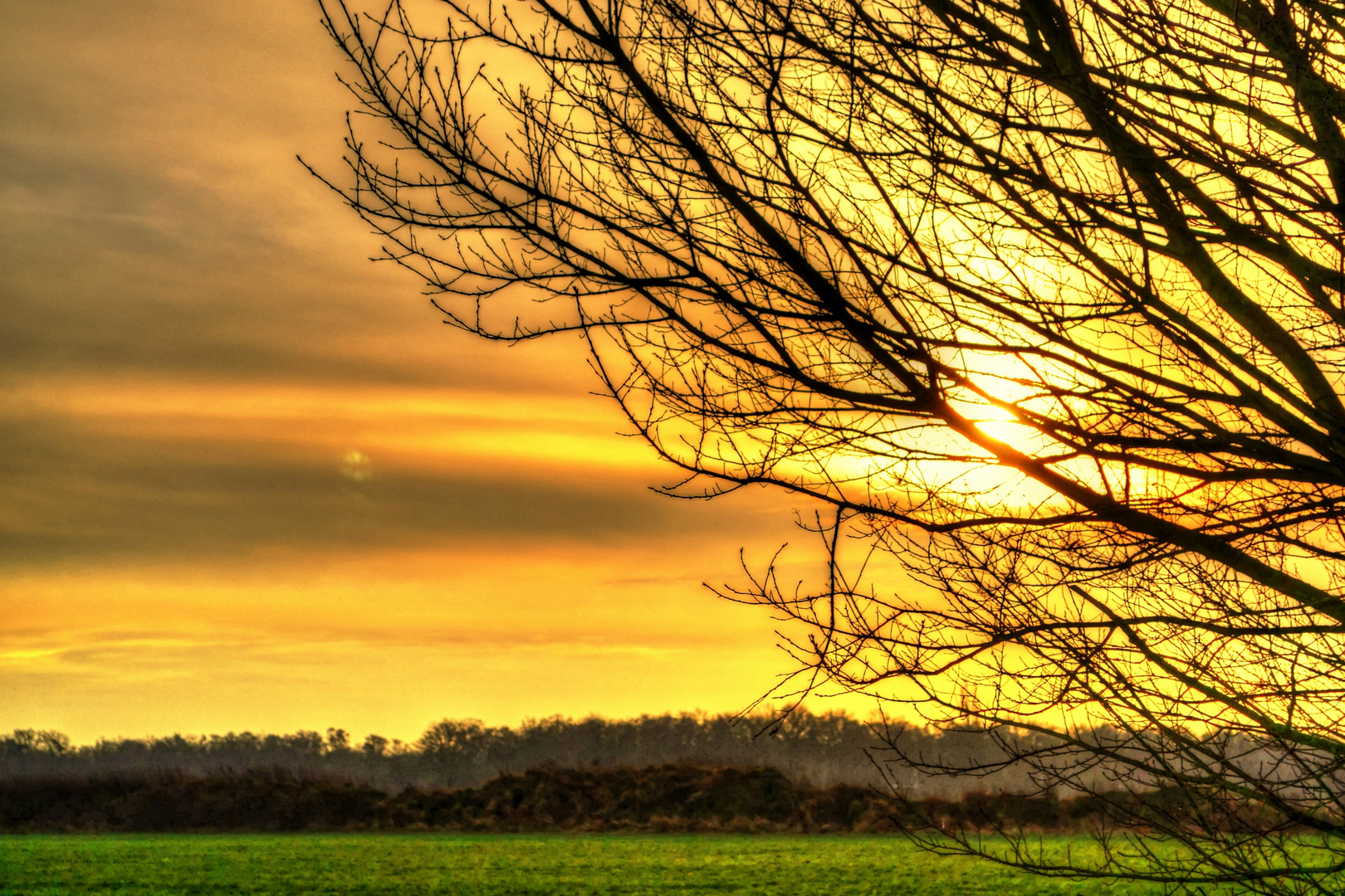 Sonnenaufgang in der Kirchheller Heide