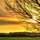 Sonnenaufgang in der Kirchheller Heide