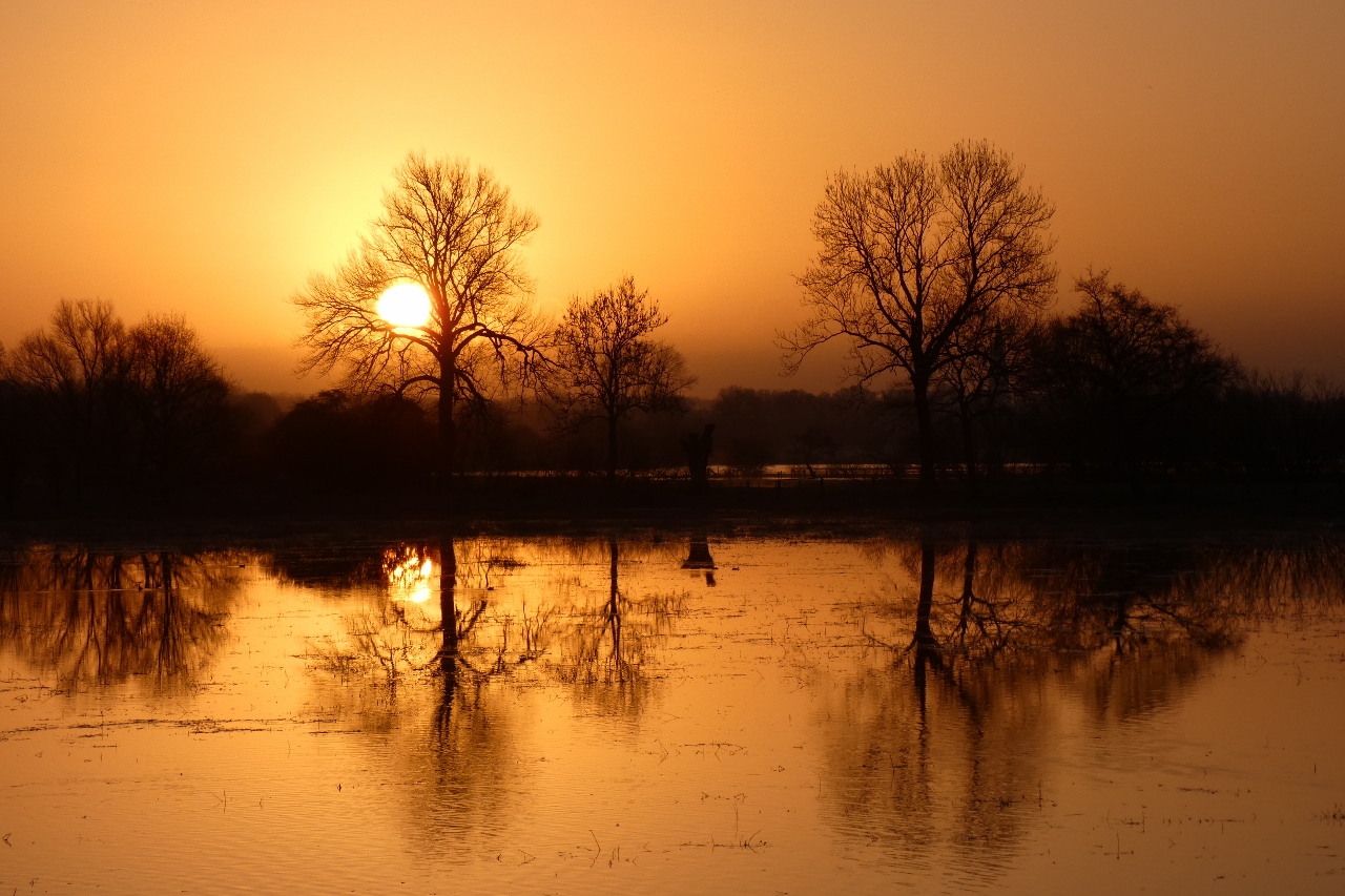 Sonnenaufgang in der Lippeue