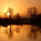 Sonnenaufgang in der Lippeue