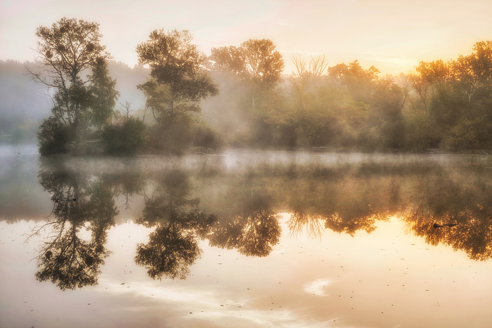 Sonnenaufgang in der Lobau