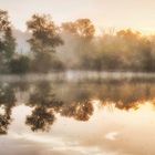 Sonnenaufgang in der Lobau