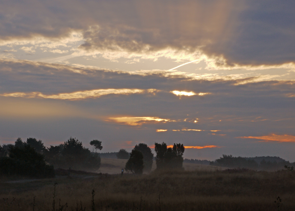Sonnenaufgang in der Lüneburger Heide