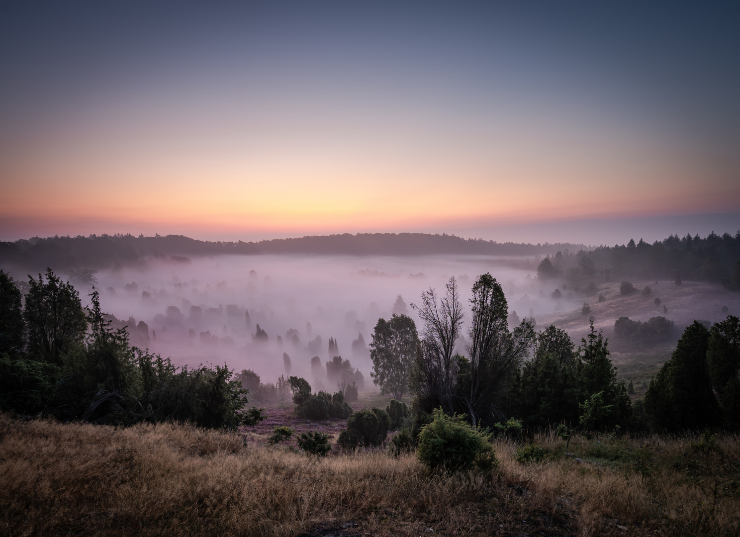 Sonnenaufgang in der Lüneburger Heide