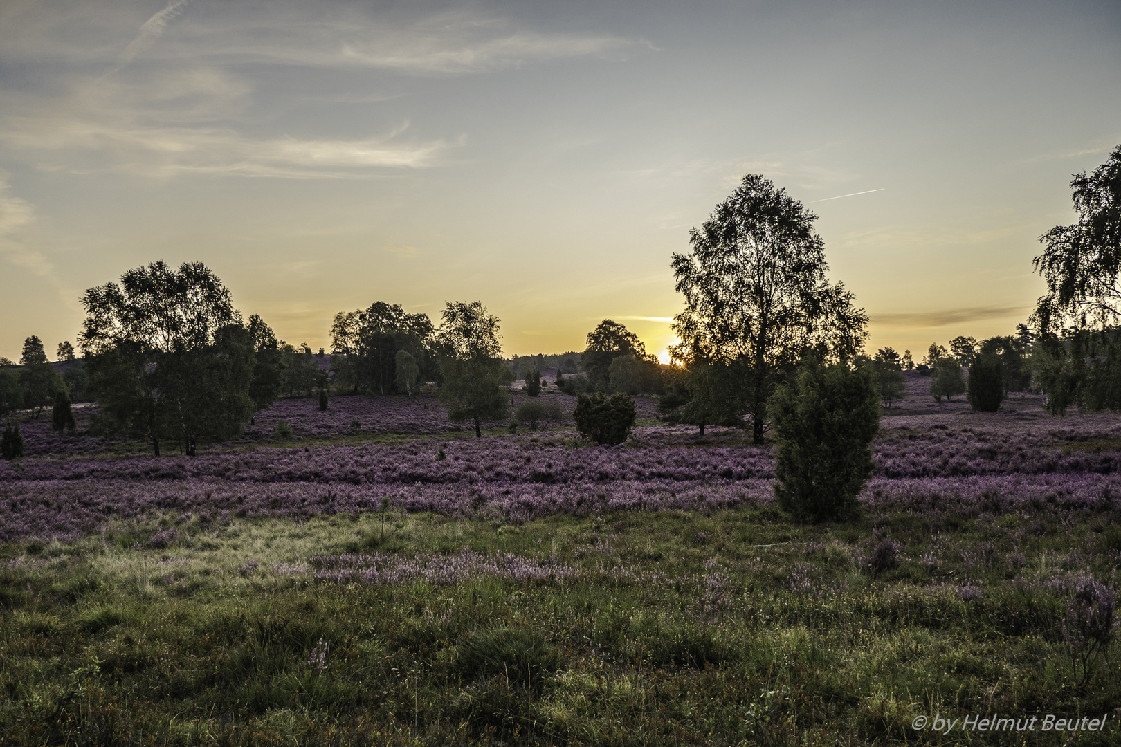 Sonnenaufgang in der Lüneburger Heide 