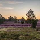 Sonnenaufgang in der Lüneburger Heide 