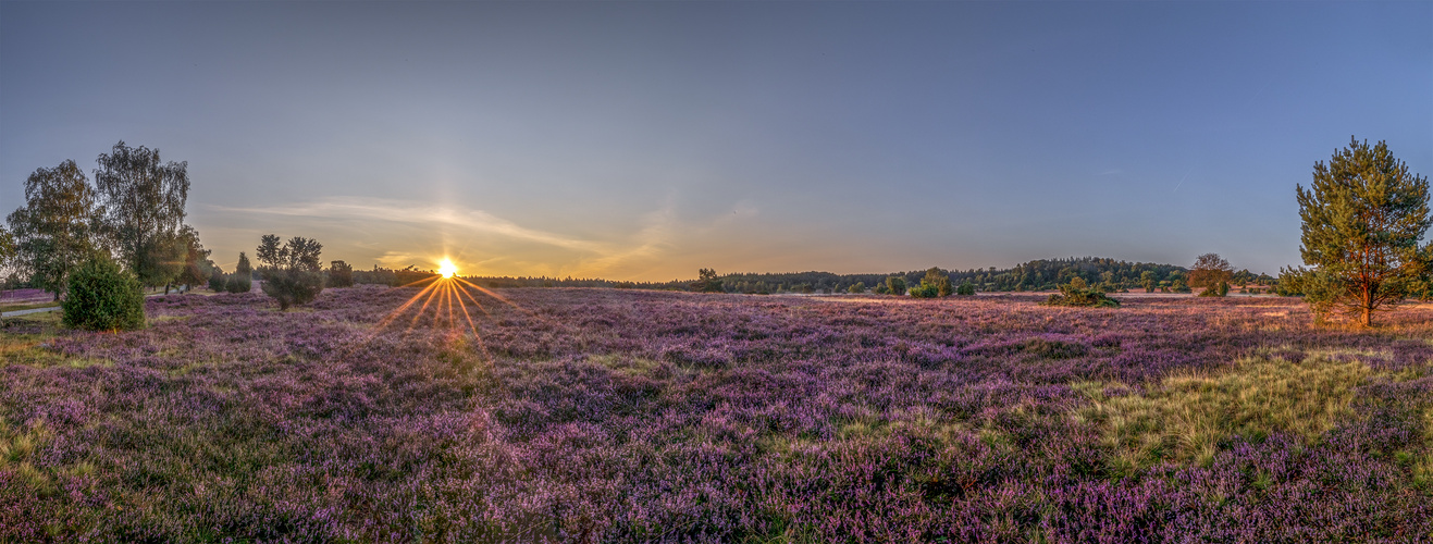 Sonnenaufgang in der Lüneburger Heide