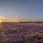 Sonnenaufgang in der Lüneburger Heide