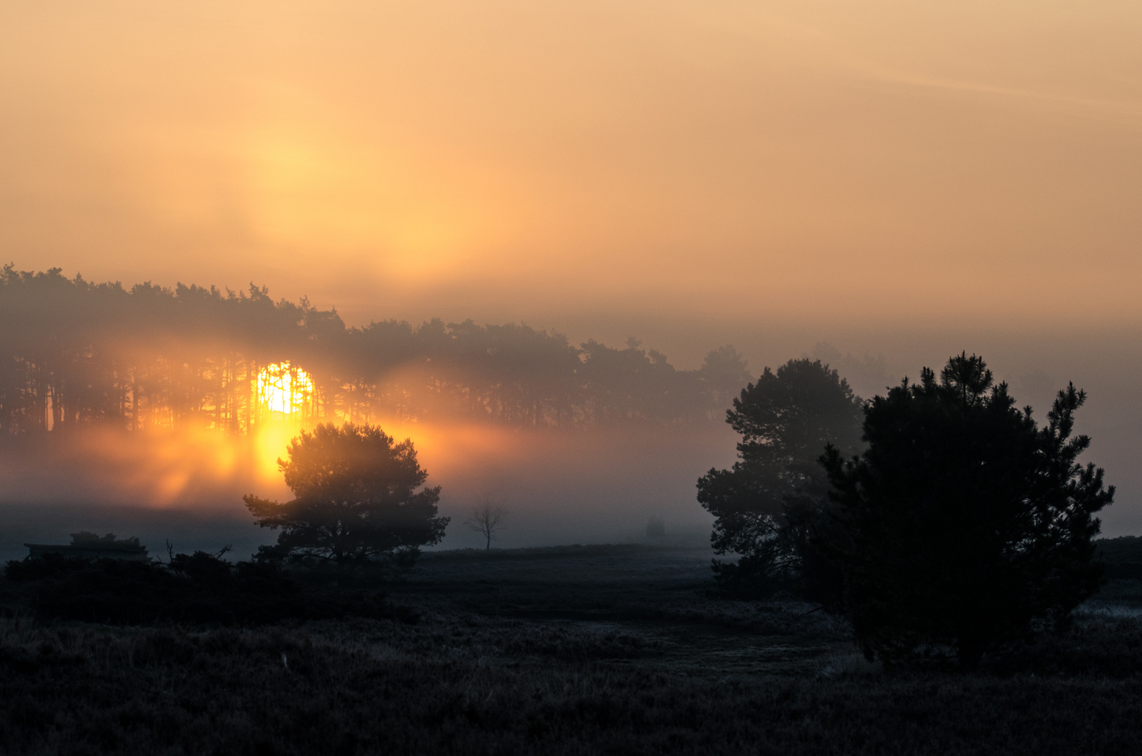 Sonnenaufgang in der Lüneburger Heide