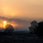 Sonnenaufgang in der Lüneburger Heide