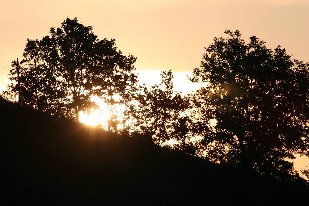 Sonnenaufgang in der Marche