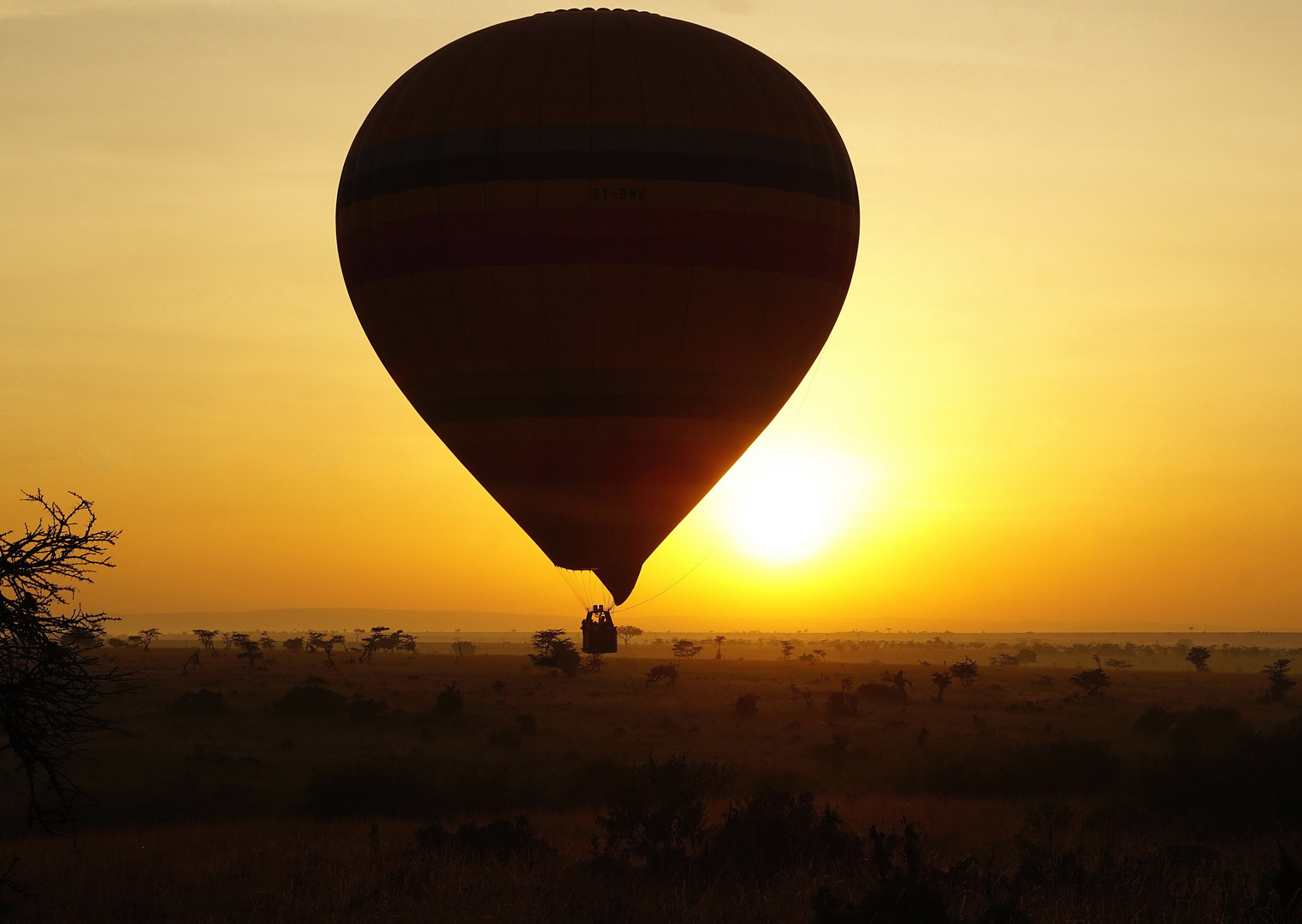 Sonnenaufgang in der Masai Mara