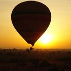 Sonnenaufgang in der Masai Mara