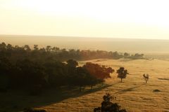 Sonnenaufgang in der Masai Mara