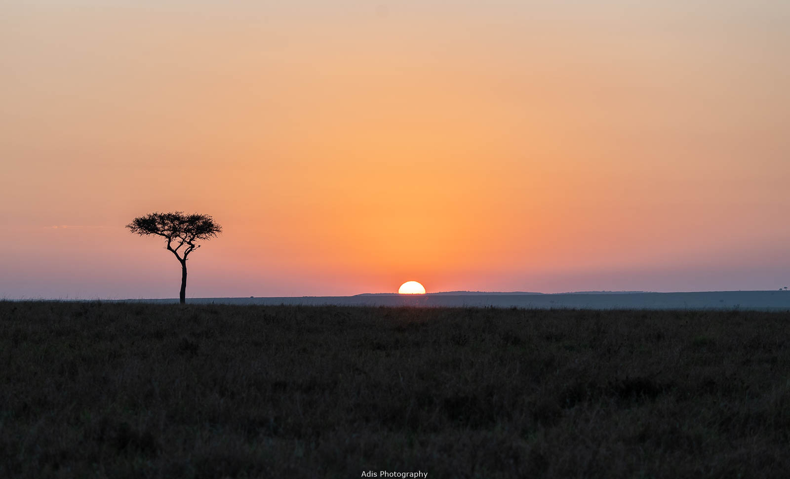 Sonnenaufgang in der Masai Mara 