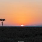 Sonnenaufgang in der Masai Mara 