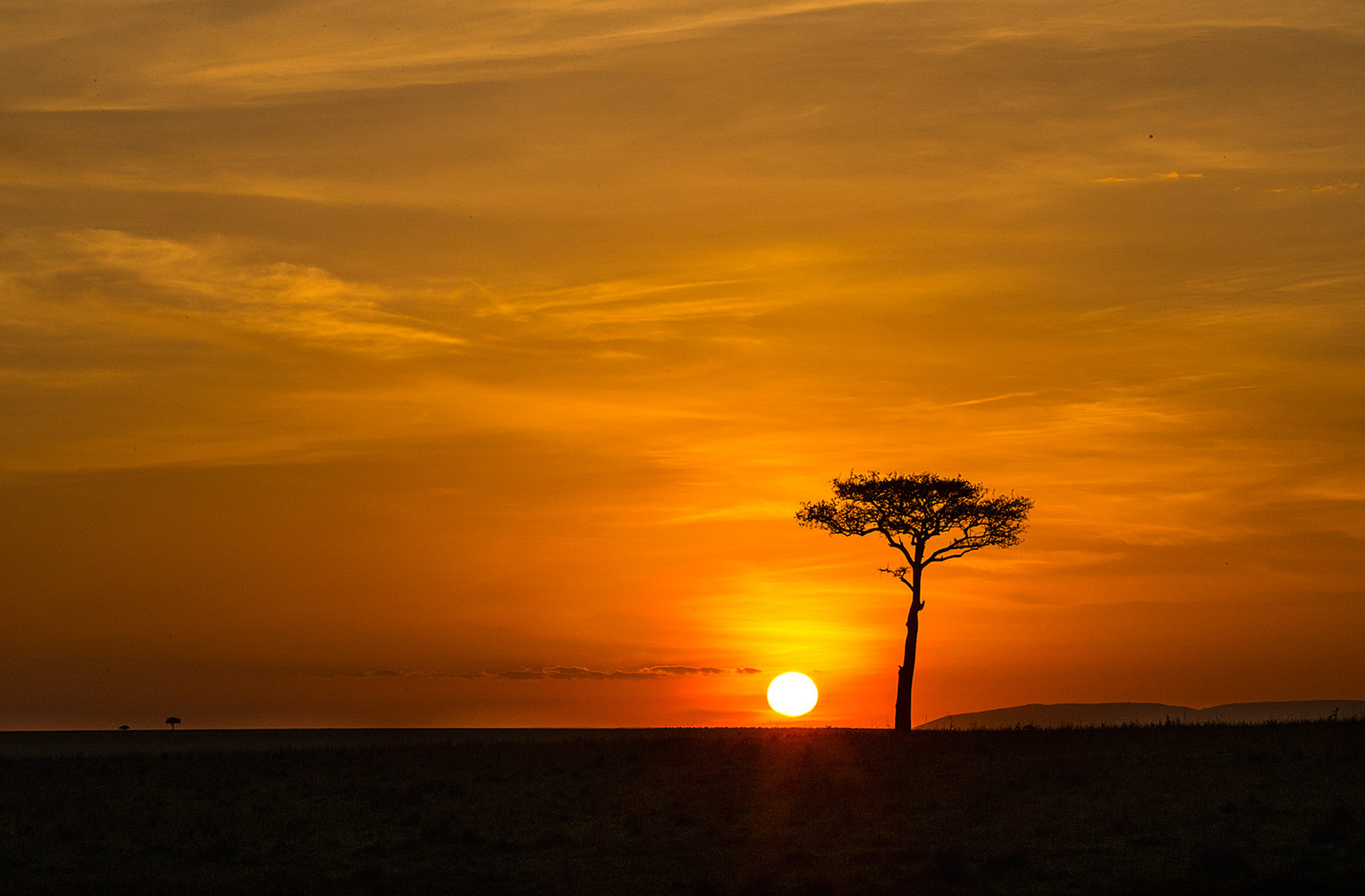 Sonnenaufgang in der Masai Mara, Kenia