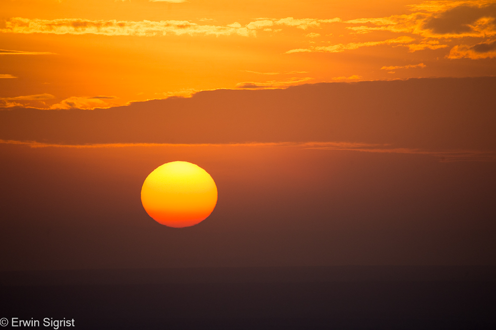 Sonnenaufgang in der Masai Mara (Kenya)