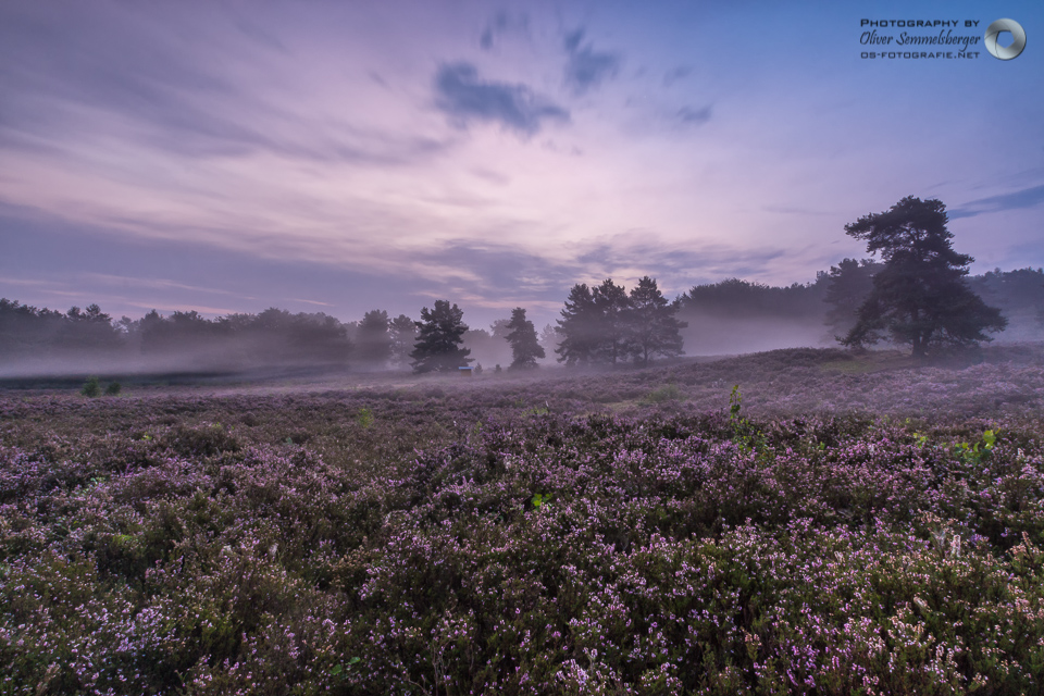 Sonnenaufgang in der Mehlinger Heide