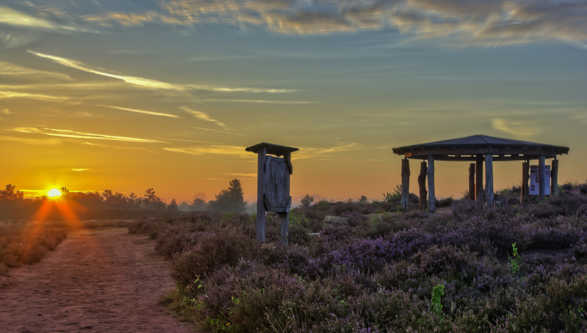 "Sonnenaufgang in der Mehlinger Heide"