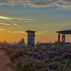 "Sonnenaufgang in der Mehlinger Heide"