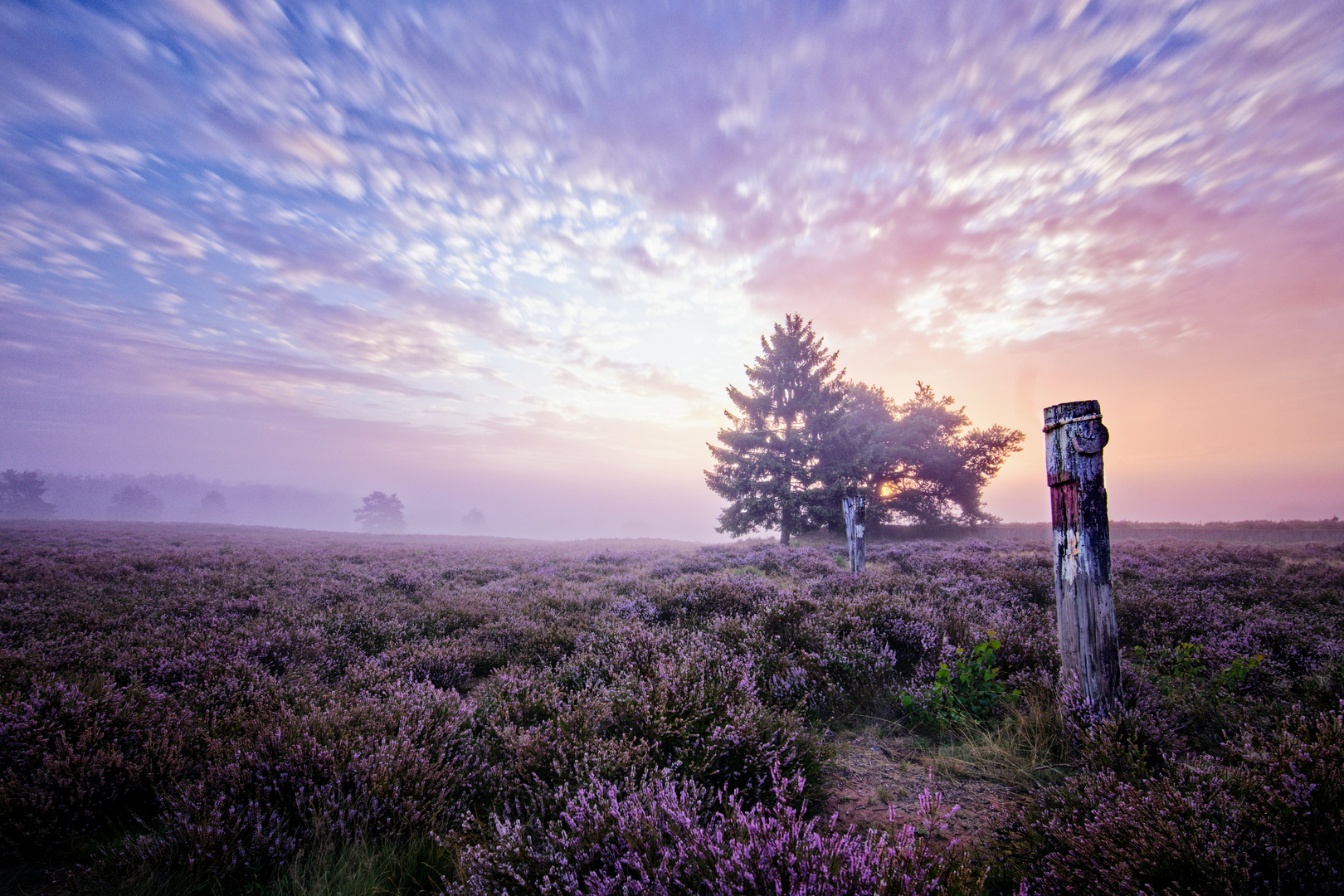 Sonnenaufgang in der Mehlinger Heide 