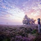 Sonnenaufgang in der Mehlinger Heide 