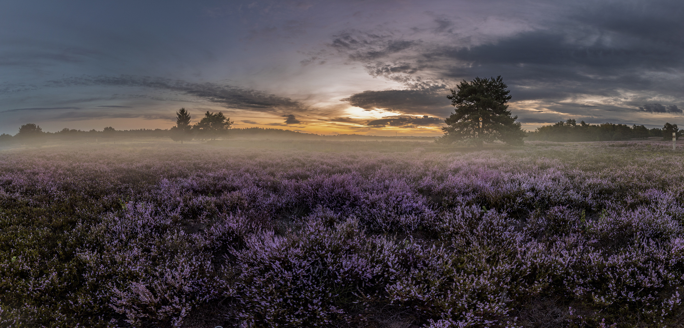 Sonnenaufgang in der Mehlinger Heide...