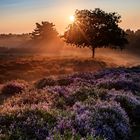 Sonnenaufgang in der Mehlinger Heide