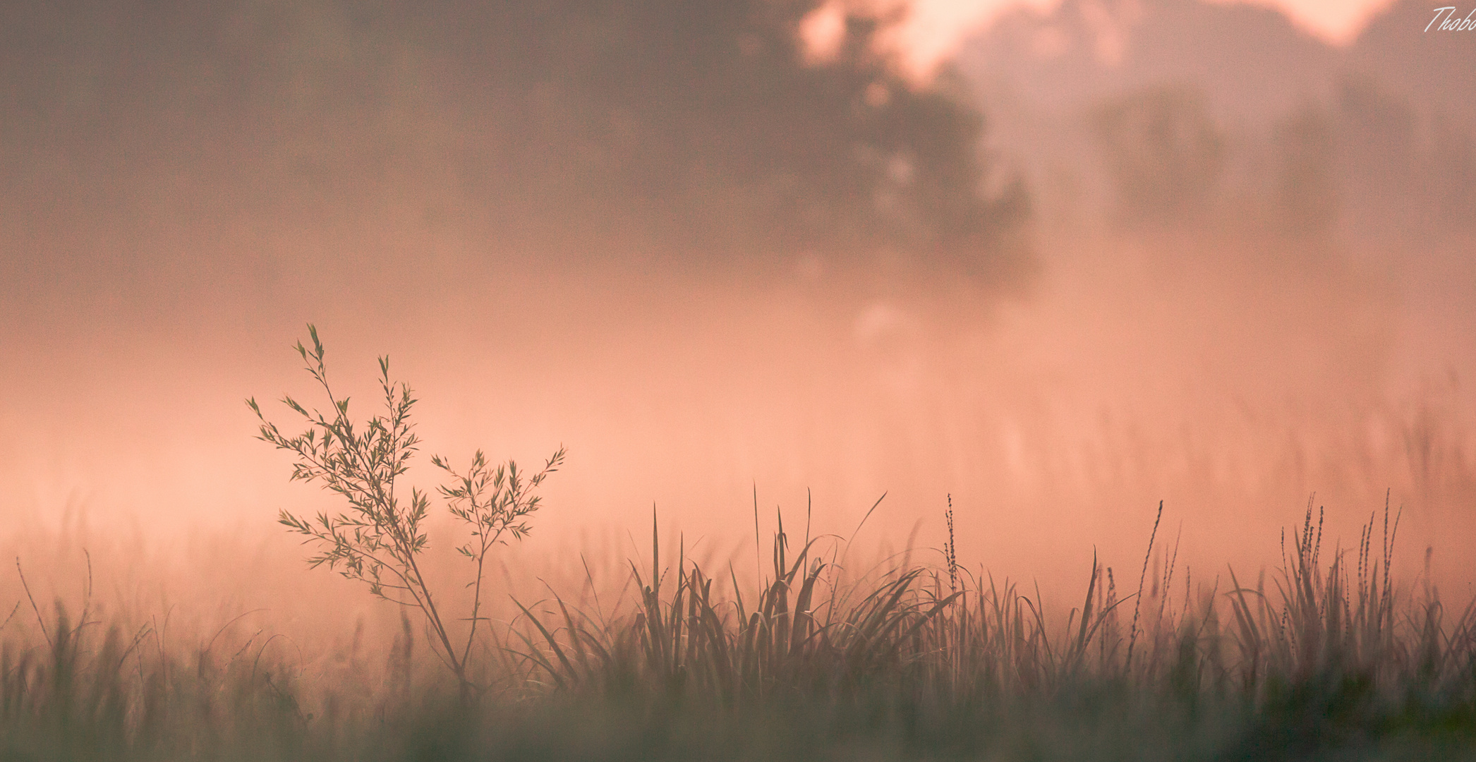 Sonnenaufgang in der Mersch