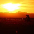 Sonnenaufgang in der Mongolei