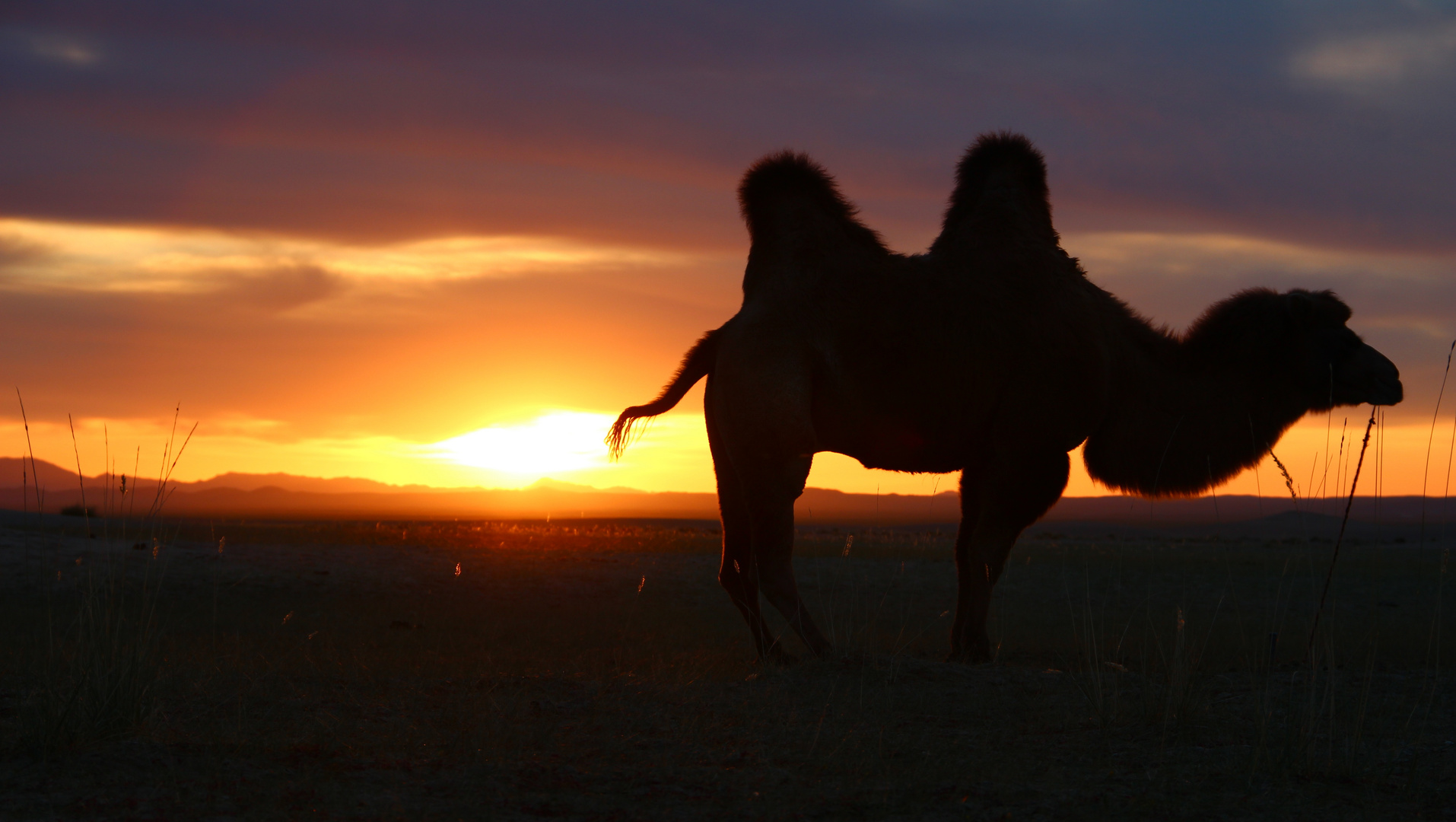 Sonnenaufgang in der Mongolei I