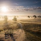 Sonnenaufgang in der Nähe von Afferden