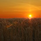 Sonnenaufgang in der nähe von Ebeltoft ( Dänemark )