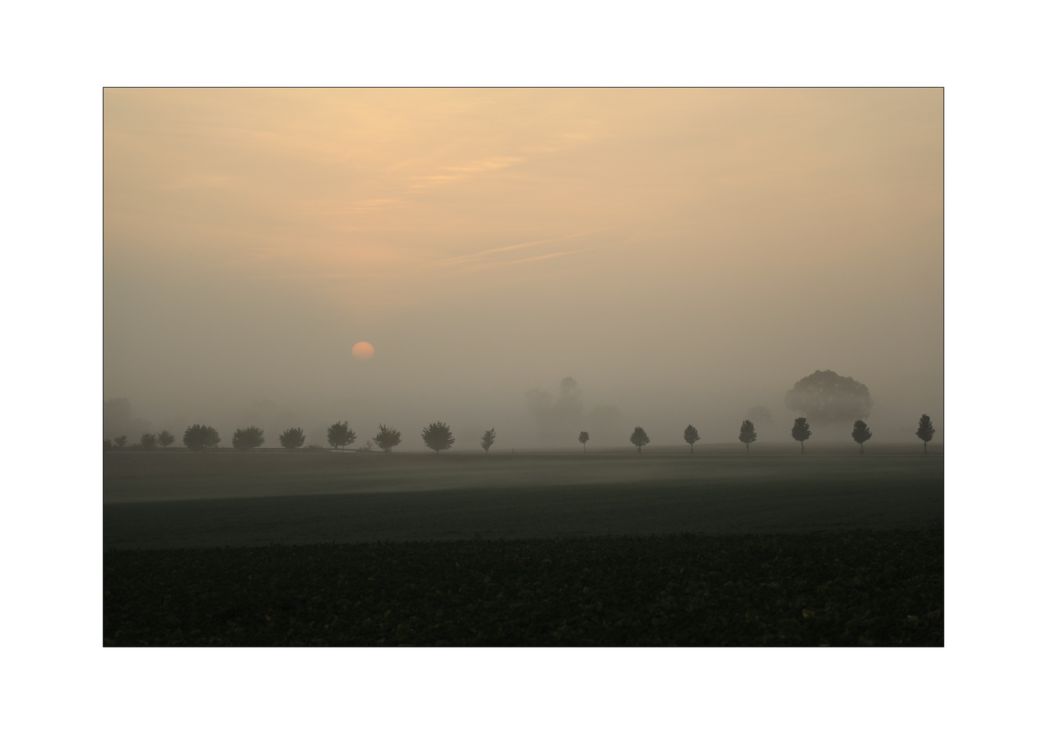 Sonnenaufgang in der Nähe von Weckrieden, Schwäbisch Hall II