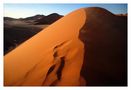 Sonnenaufgang in der Namib von Ulf Brömmelhörster