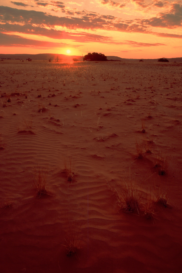 Sonnenaufgang in der Namib