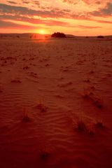 Sonnenaufgang in der Namib