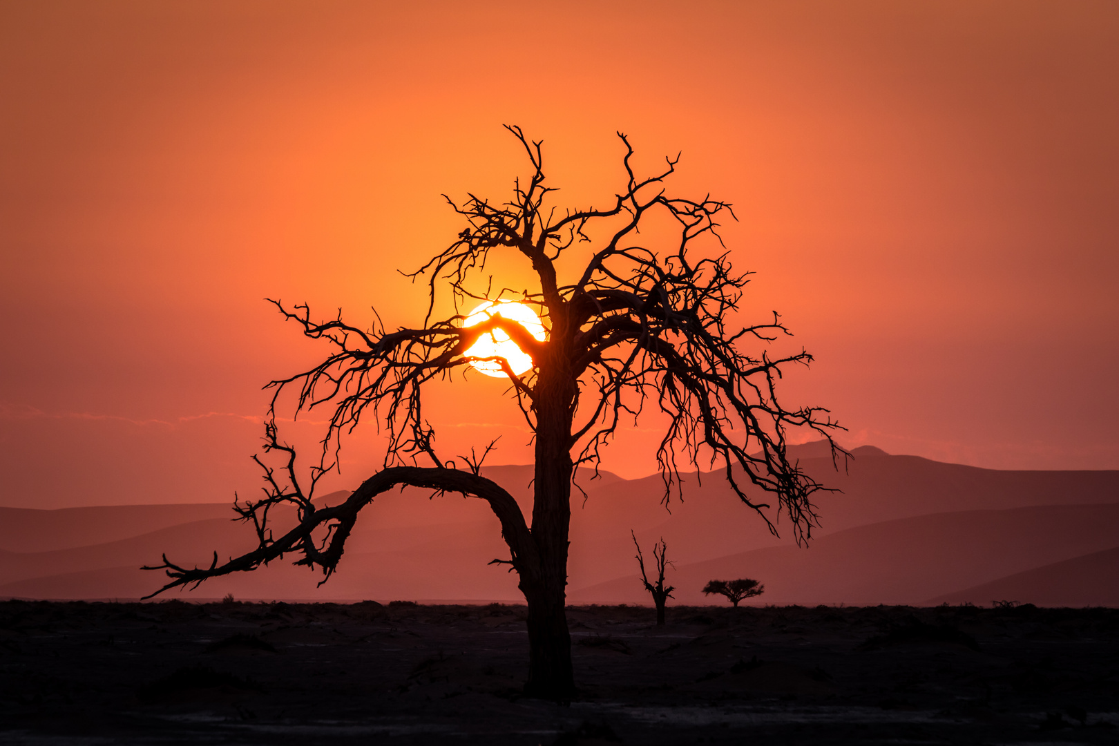 Sonnenaufgang in der Namib