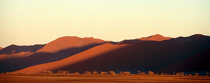 Sonnenaufgang in der Namib